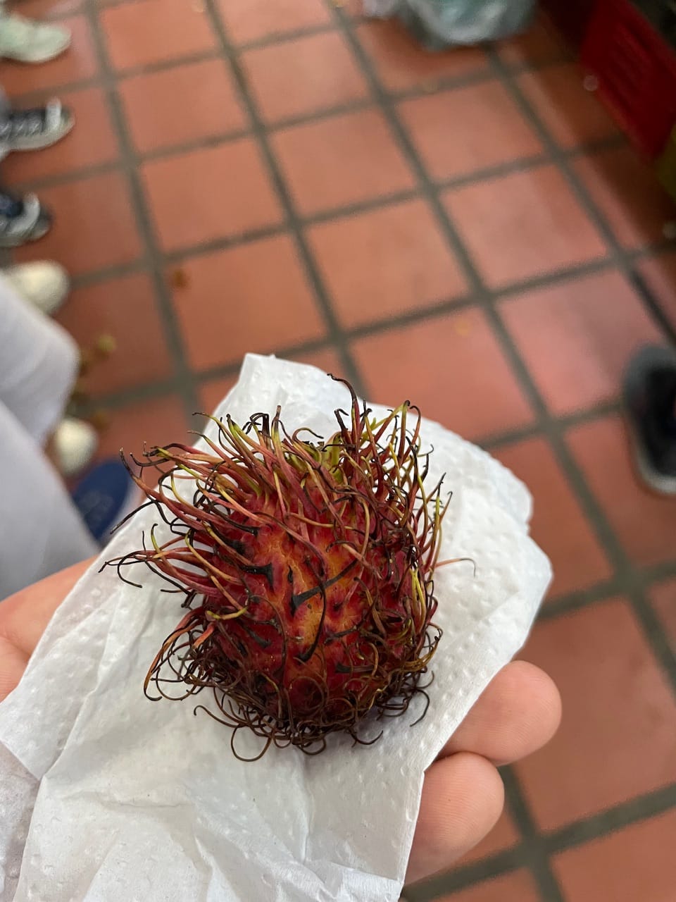 Rambutan