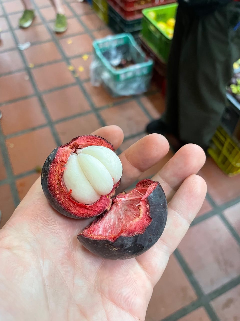 Mangostino