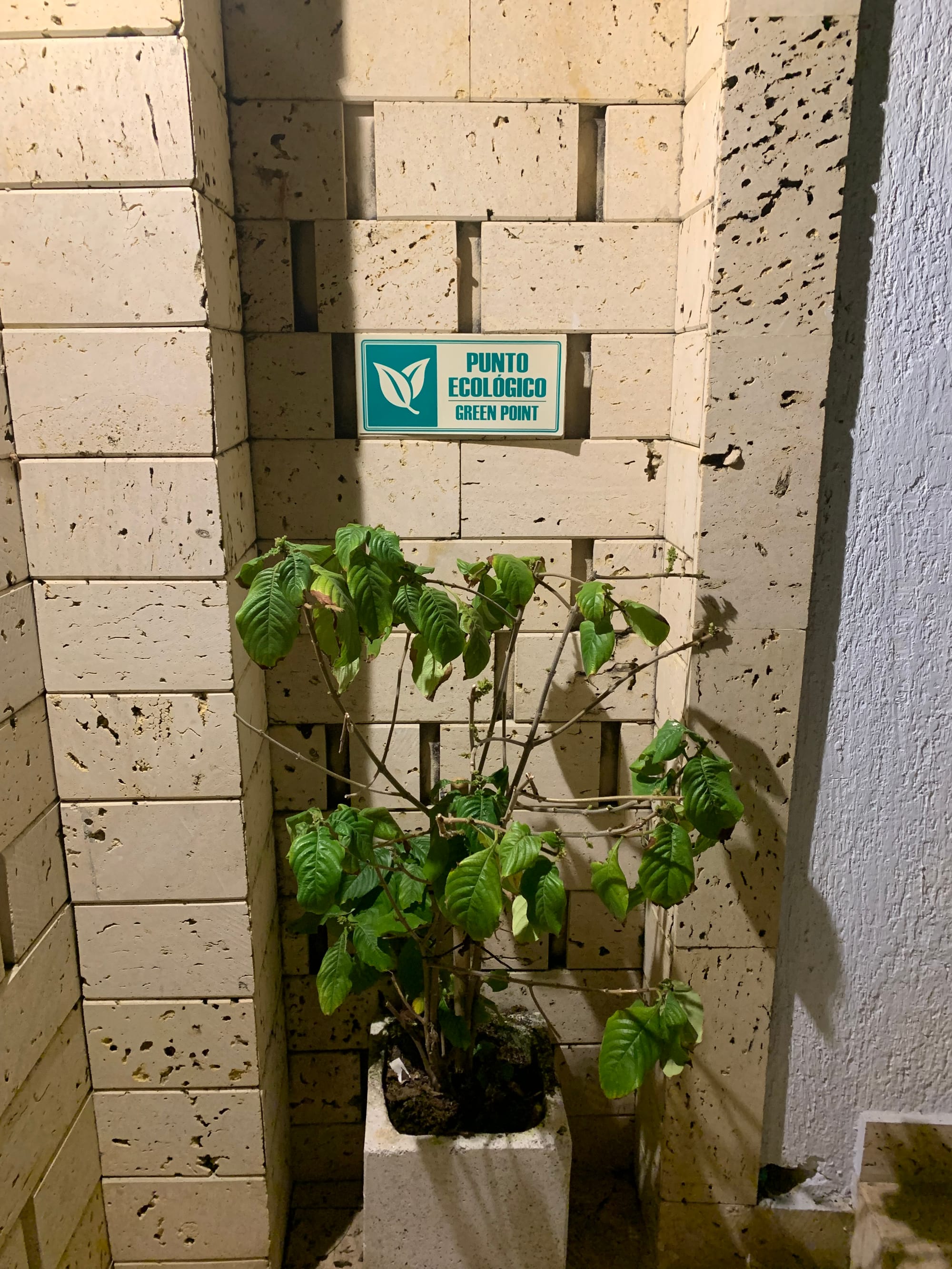Green Point